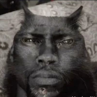 Cat thumbnail
