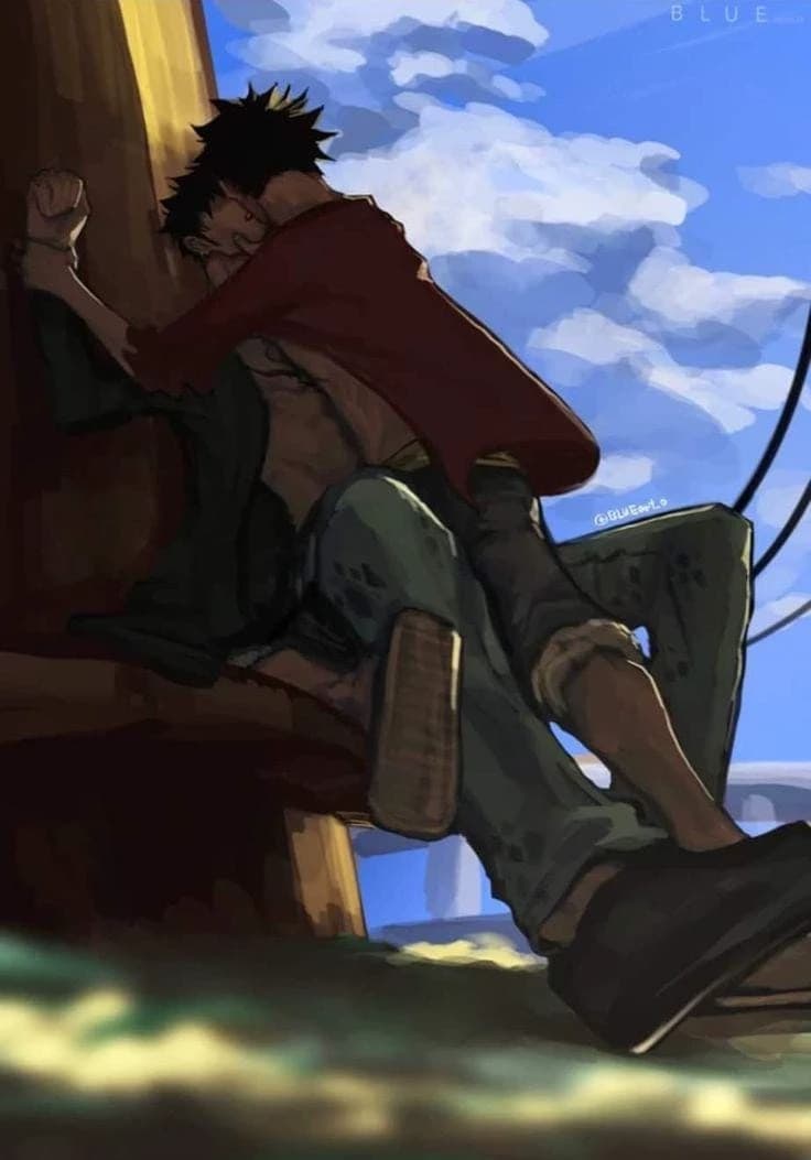 Trafalgar D. Law - (LuLaw/lawlu) thumbnail