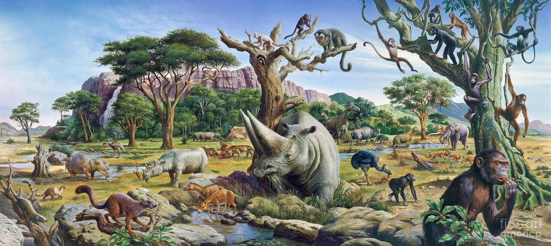 Cenozoic (last arrangements) thumbnail
