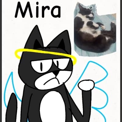Look thumbnail