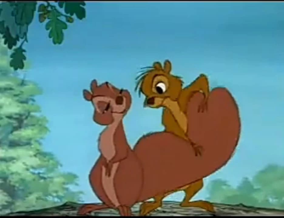 Flirty female redhead squirrel. thumbnail