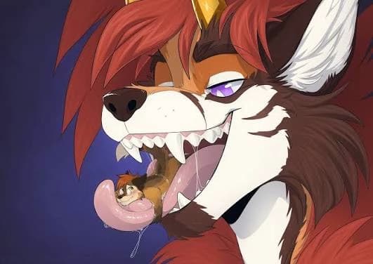 Reey thumbnail
