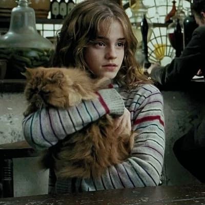 Hermione Granger thumbnail