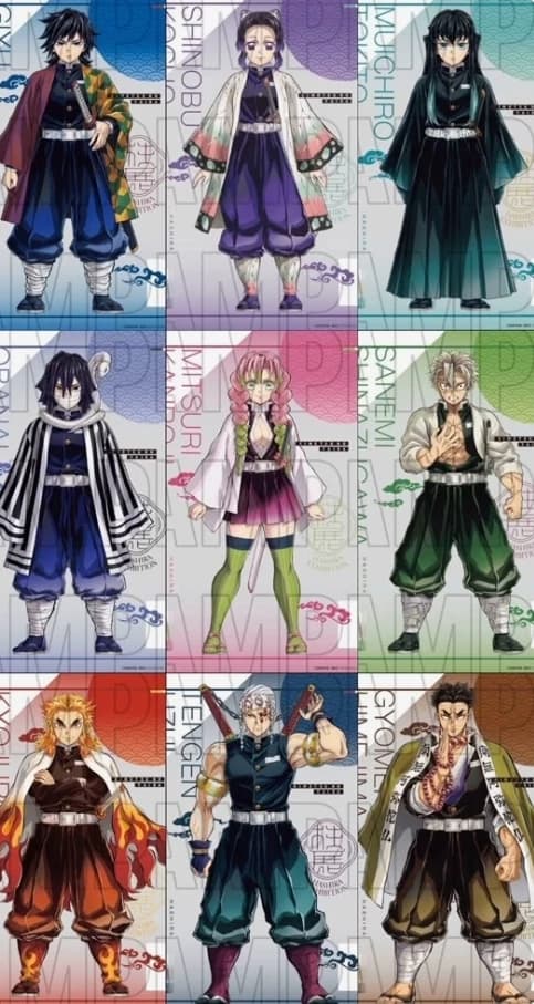 The hashiras  thumbnail
