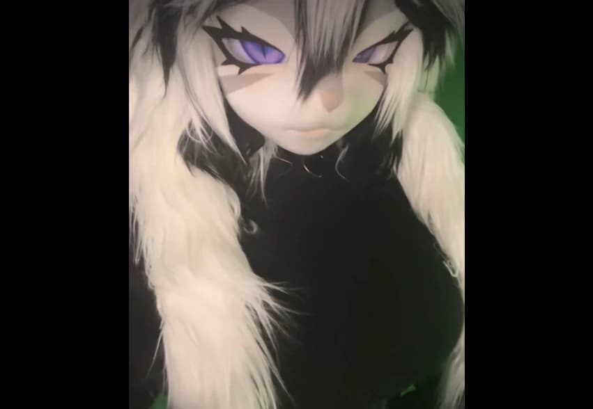 Zira thumbnail