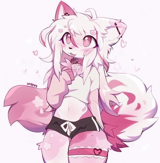 Arkeia thumbnail