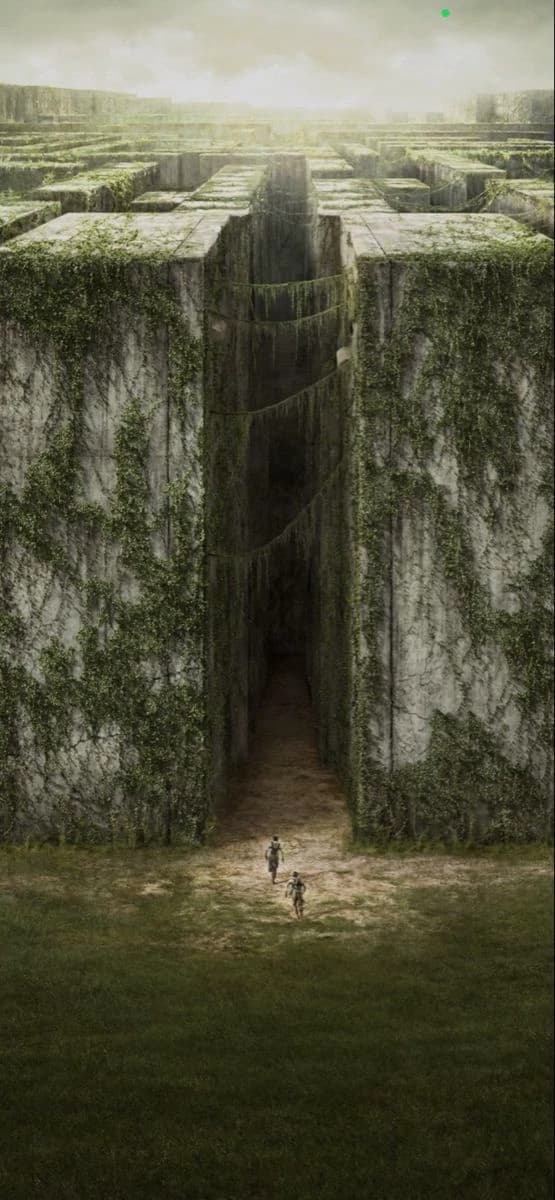 MAZE RUNNER thumbnail