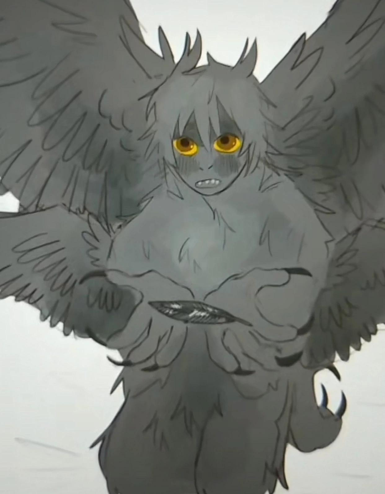 Finch thumbnail