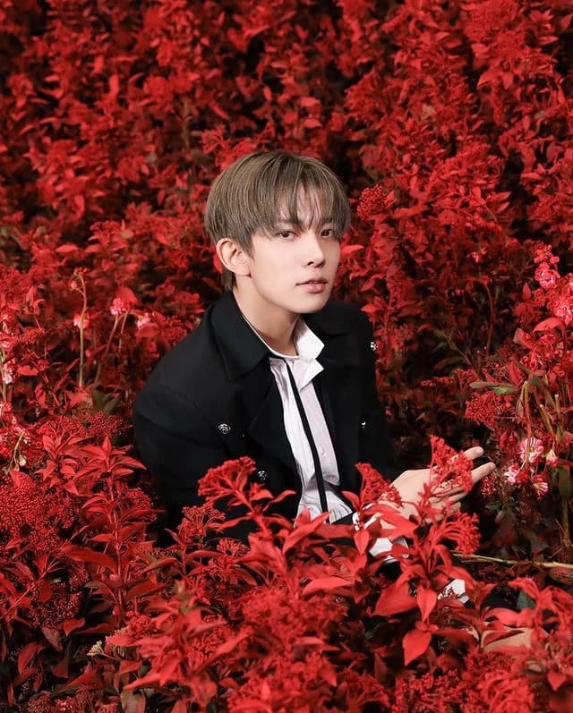 Lee heeseung thumbnail