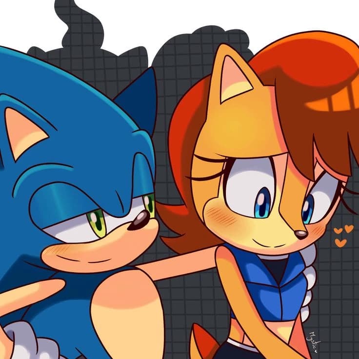 Sonic ve Sally thumbnail