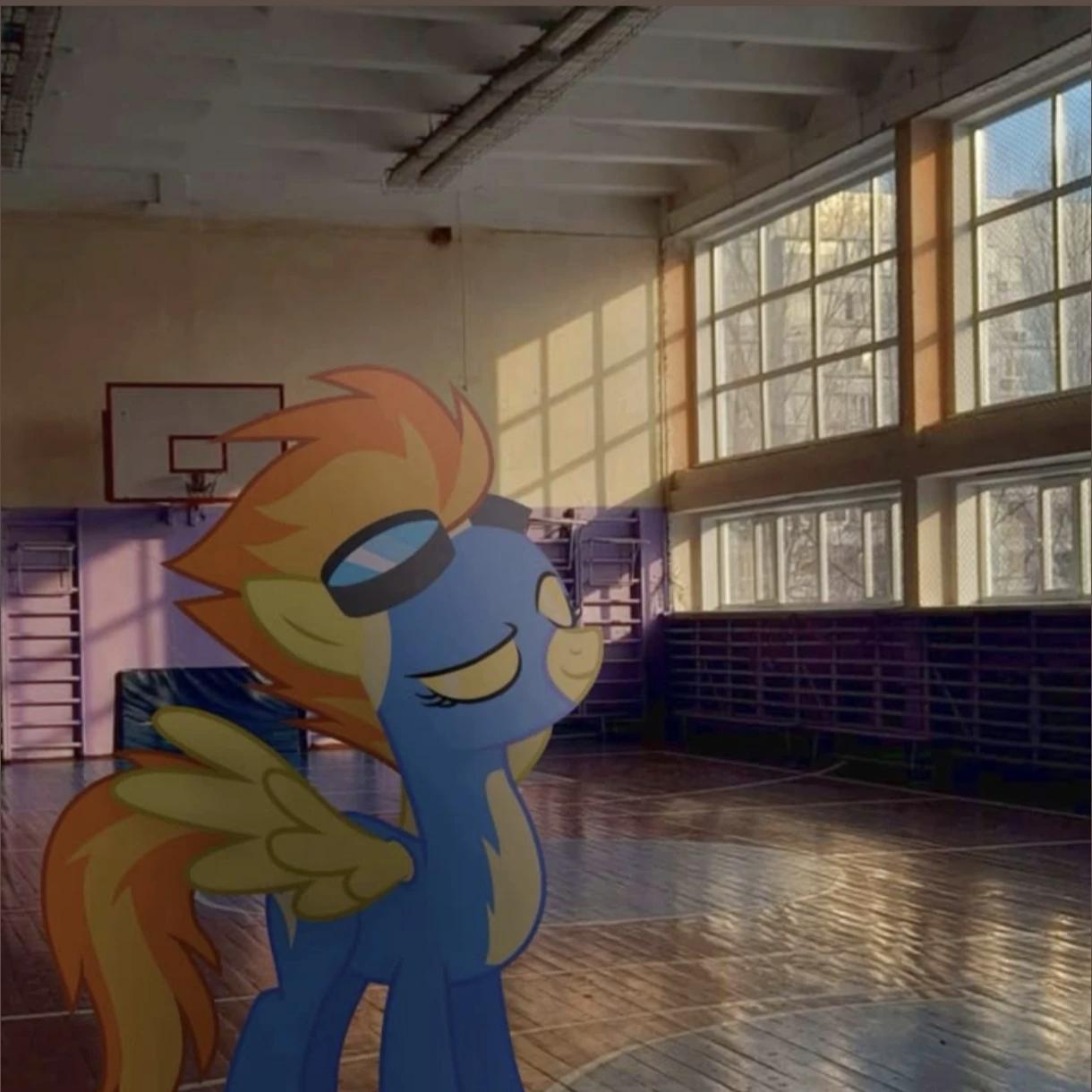Spitfire - In the

gym thumbnail