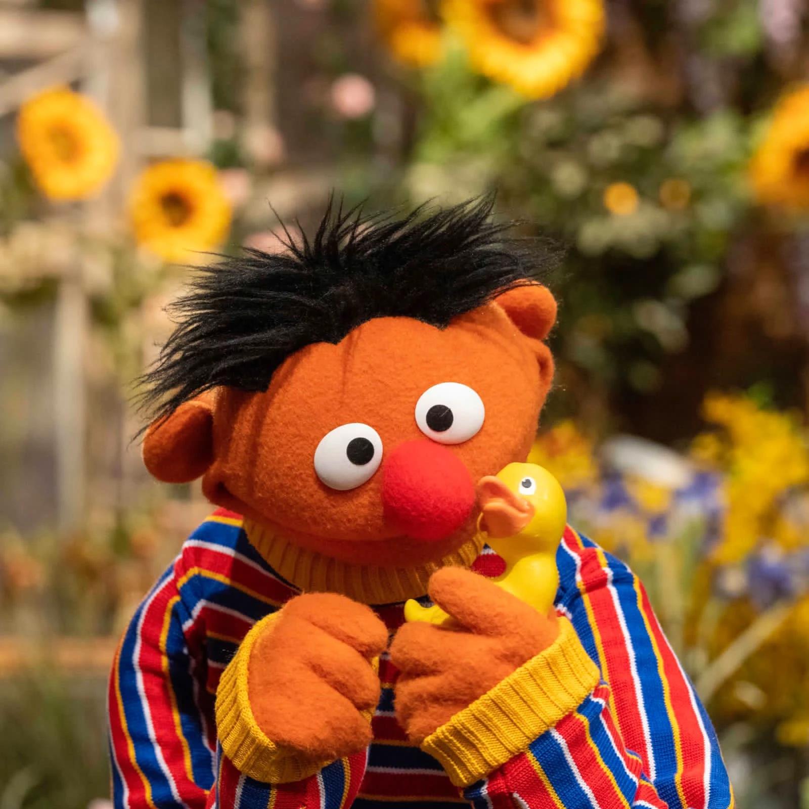 Ernie thumbnail