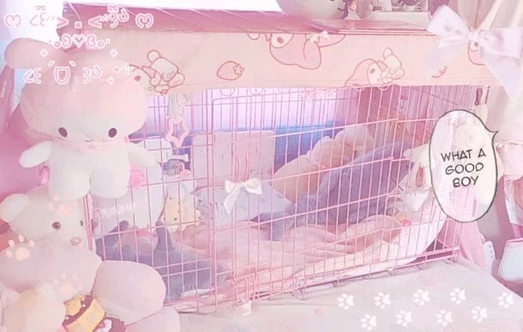 Inumimi center!! thumbnail