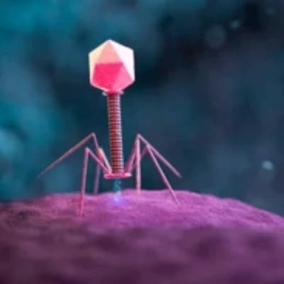 ☍⍀⍜⋔⍜⋉⍜⋏ the bacteriophage thumbnail