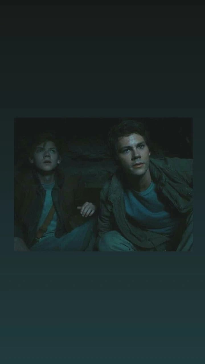 Newt thumbnail