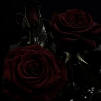 Dark Romance thumbnail