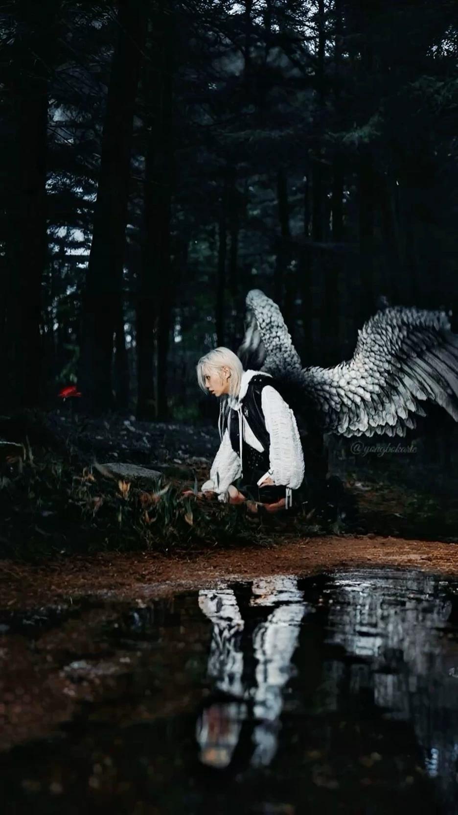 Felix| | ♡ Guardian💘 Angel thumbnail