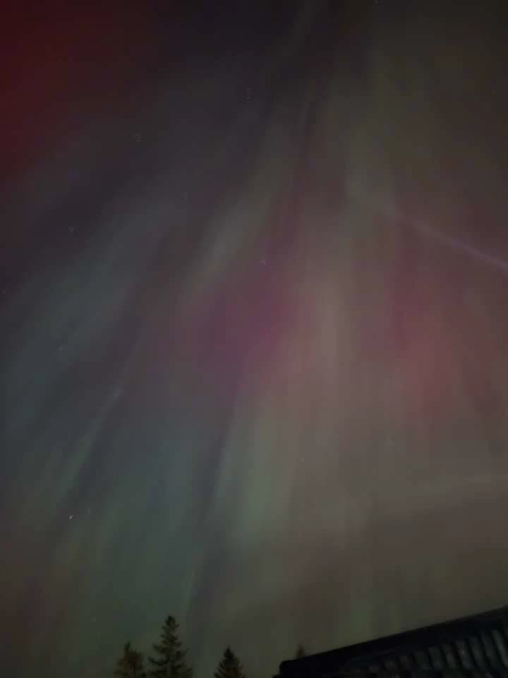 Angel  thumbnail