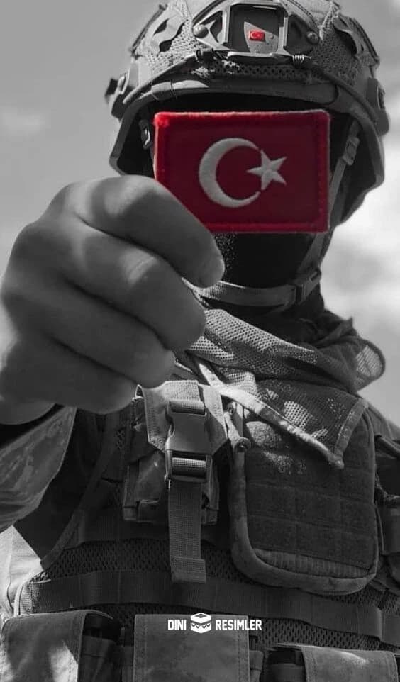 Altay thumbnail