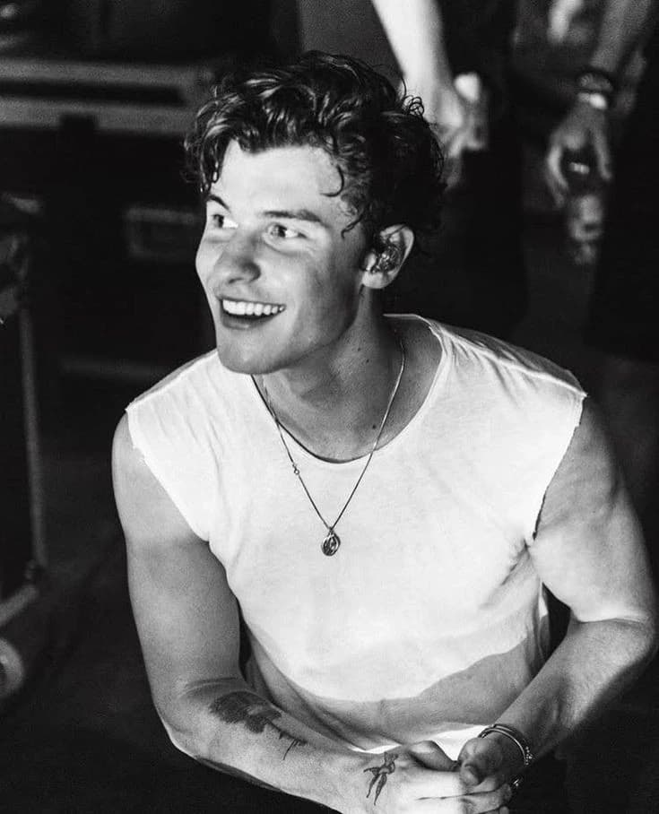 Shawn Mendes thumbnail