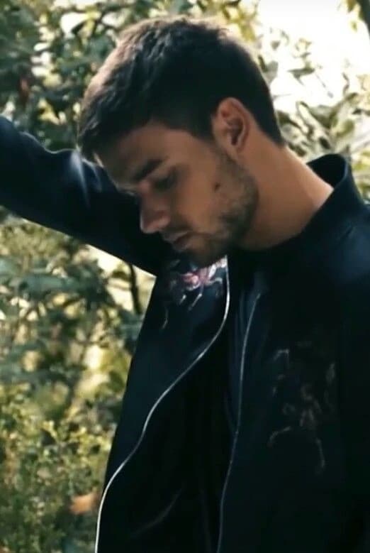 Liam James Payne thumbnail