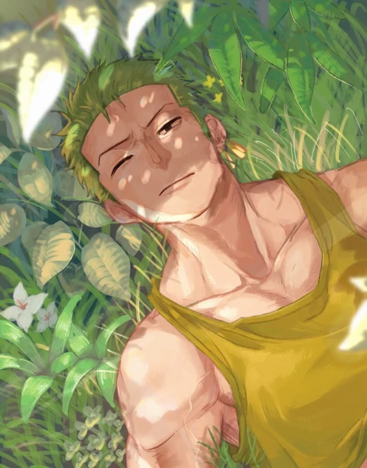 Roronoa Zoro thumbnail