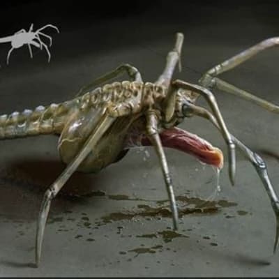 Facehugger thumbnail