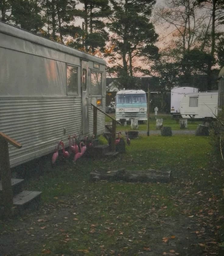 Trailer trash family  thumbnail