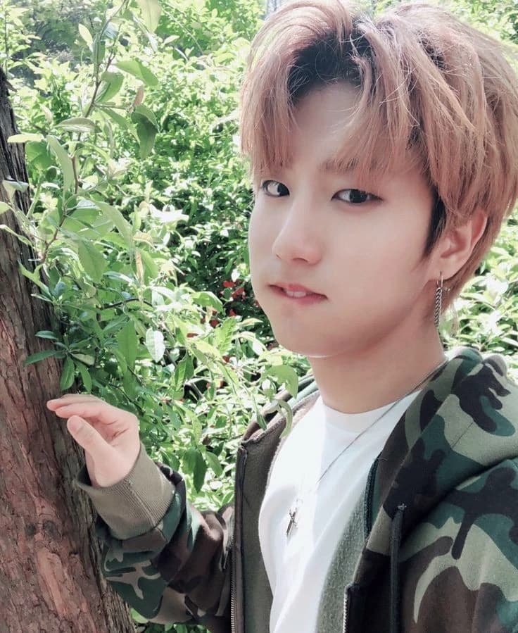 Han Jisung thumbnail