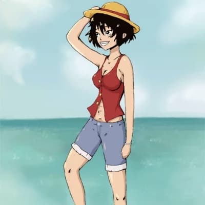 Luffyko D. Monkey thumbnail