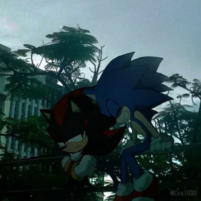 Sonic and Shadow the Hedgehog thumbnail
