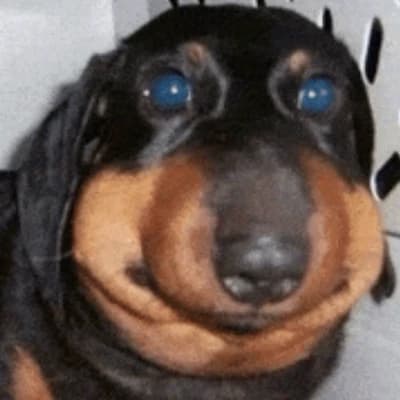 Mysterious Dog thumbnail