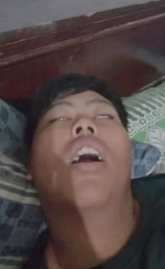 Pedro thumbnail