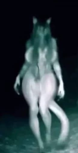 "Skinwalker" thumbnail