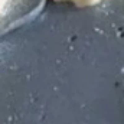 Bucky Barnes thumbnail