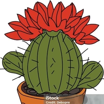 Yōkai Cactus thumbnail