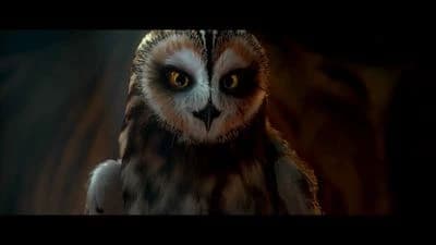 Strix Struma thumbnail