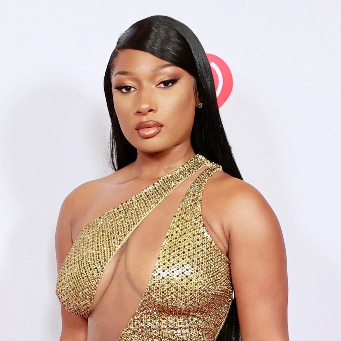 Megan the stallion  thumbnail