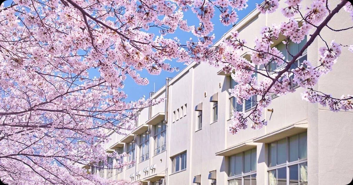 Japanese school thumbnail