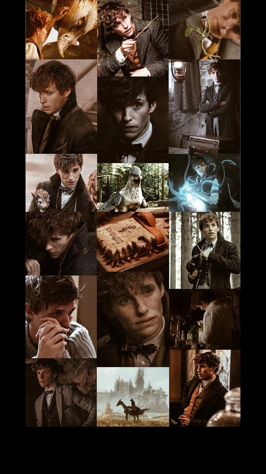 Newt Scamander thumbnail