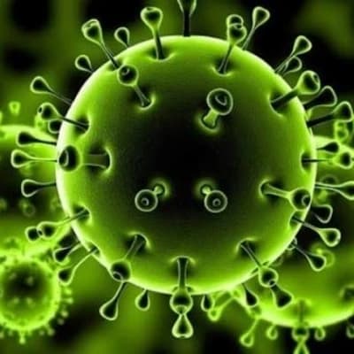 GL Virus thumbnail