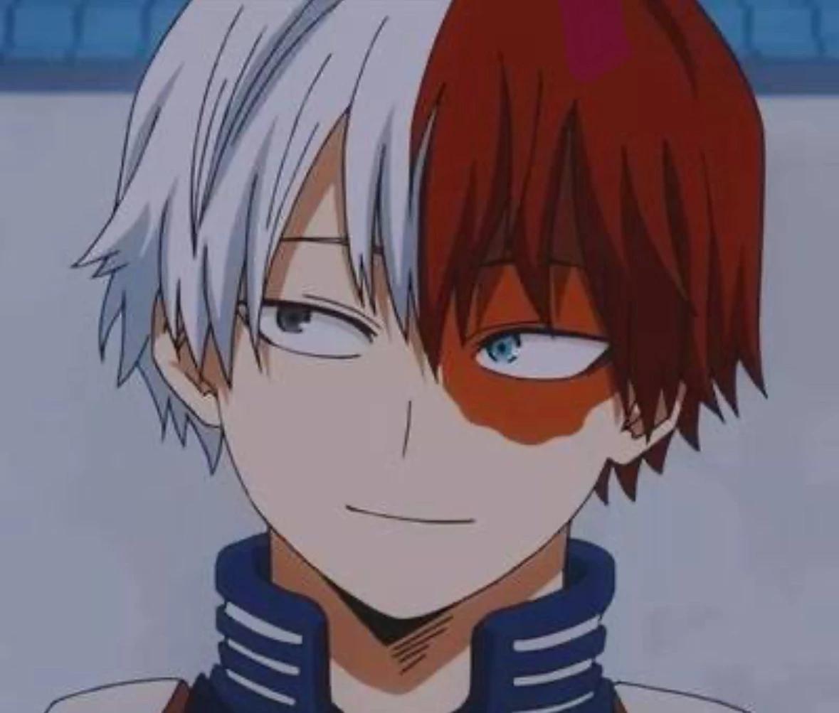 Shoto Todoroki  thumbnail