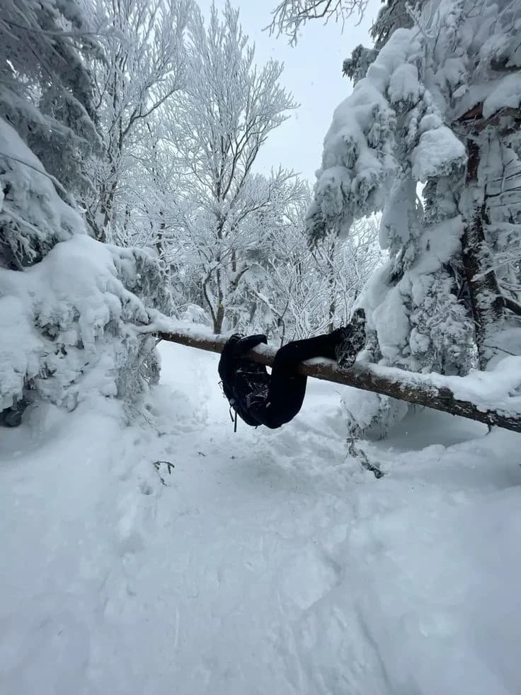 You were hiking the colds Mountains with your girl best friend and your bf thumbnail