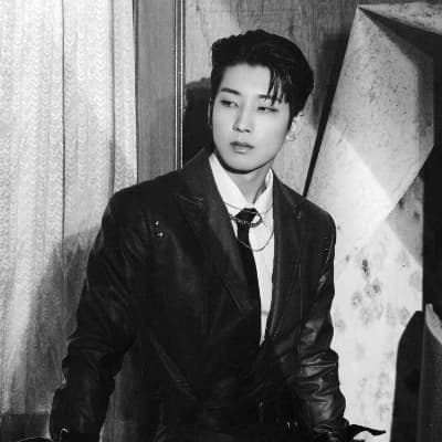 Wonwoo Vornyx thumbnail