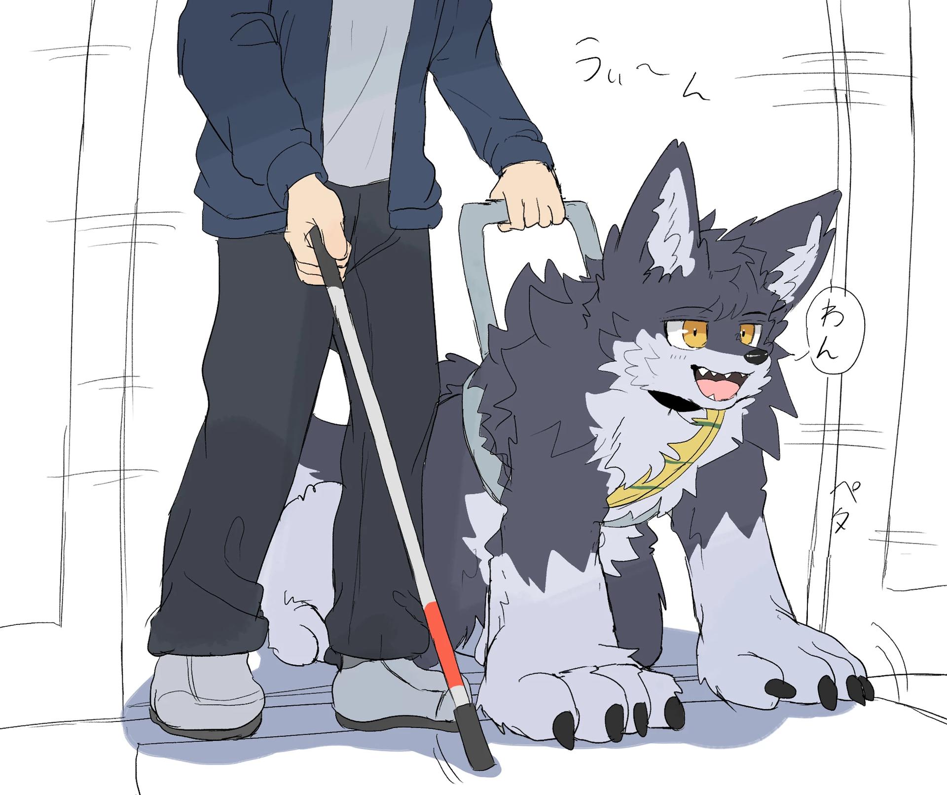 Companion dog thumbnail