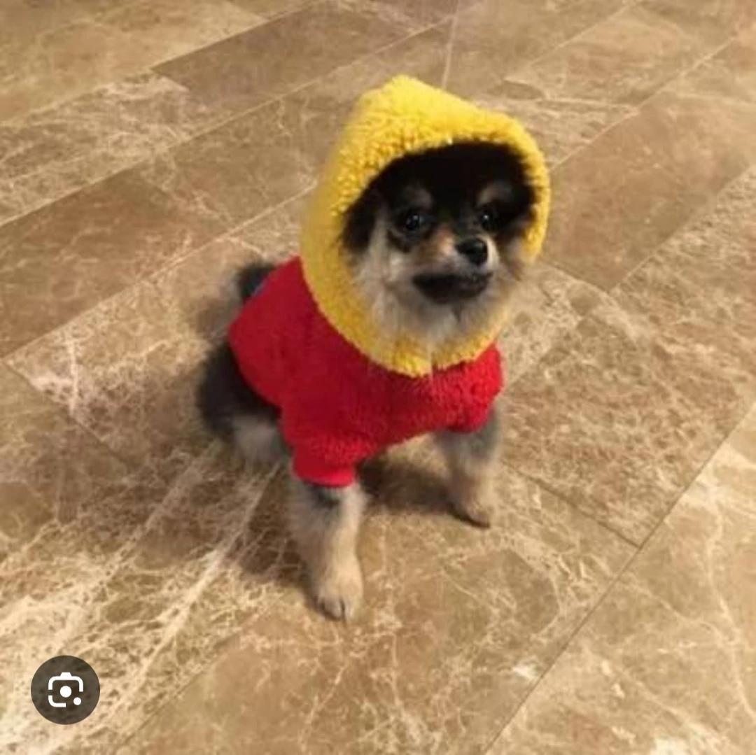 Baby Yeontan thumbnail