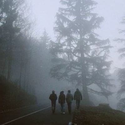 Stories of the woods (BL horror?) thumbnail