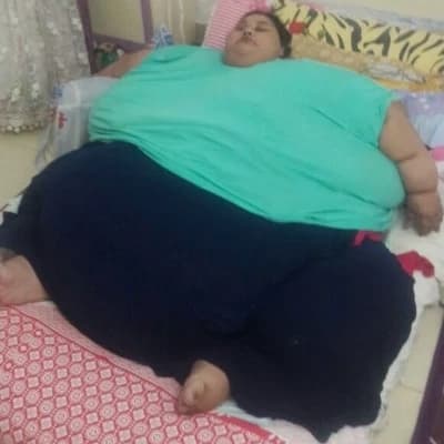 Your fat mother thumbnail