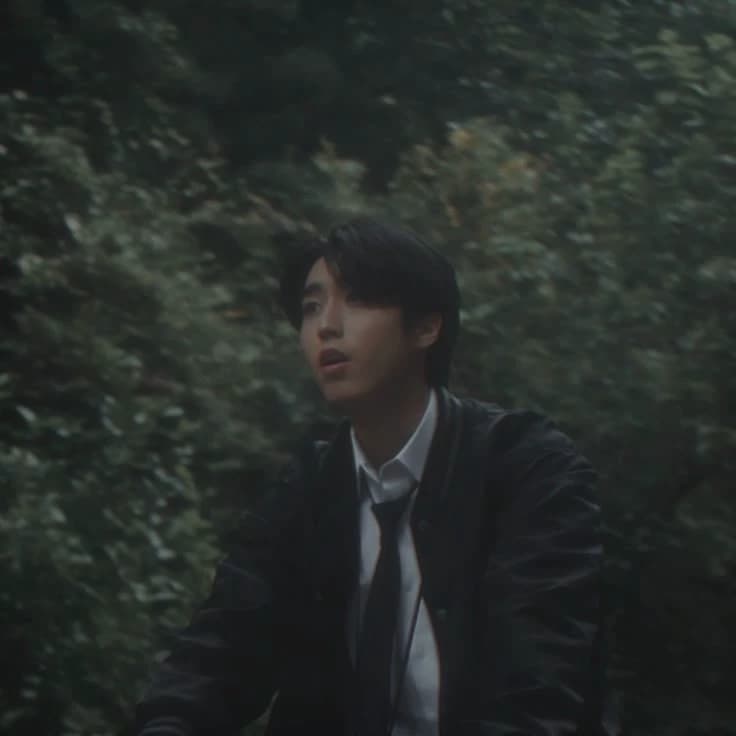 Han Jisung thumbnail