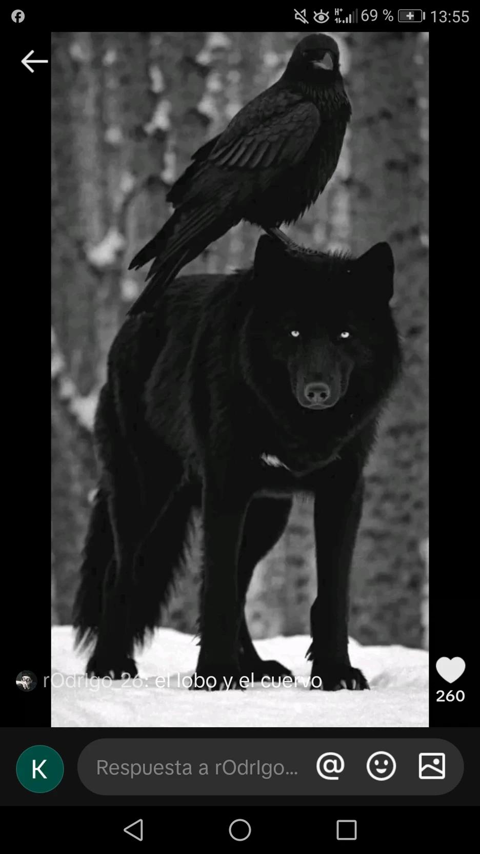 Hrafna (female crow) and fenrir (the male wolf you) thumbnail